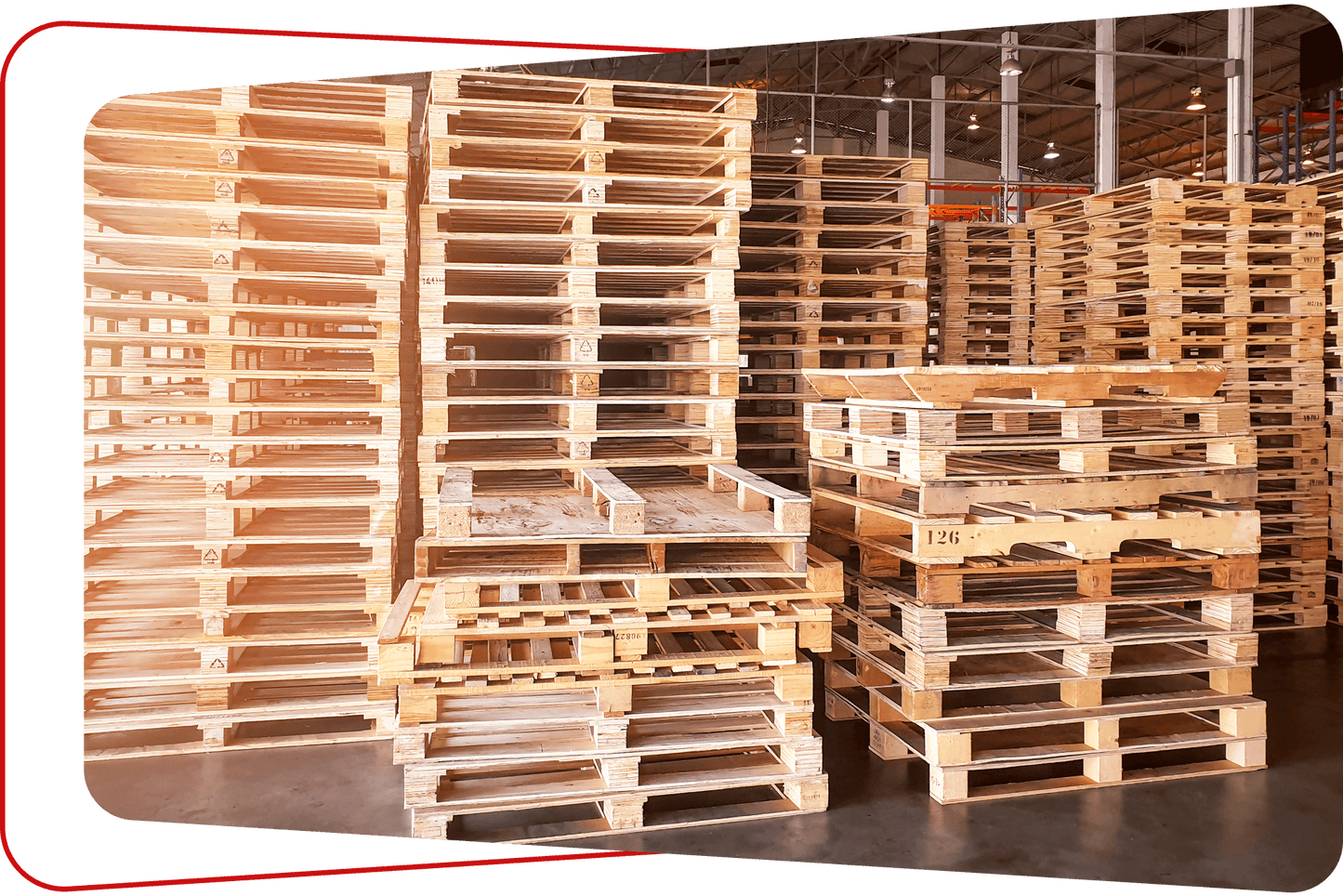 Pallets on Rent